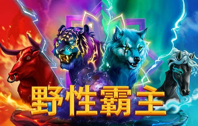 豪运棋牌